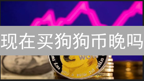 现在买狗狗币晚吗？三种支付方式帮你抓住机会！