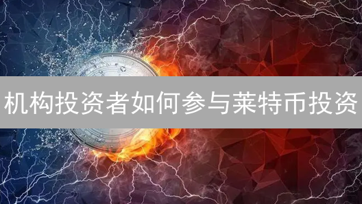 机构投资者如何参与莱特币投资？对比分析与策略揭秘
