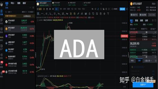 ADA/BTC 币安交易深度解析：专家解读与最新趋势