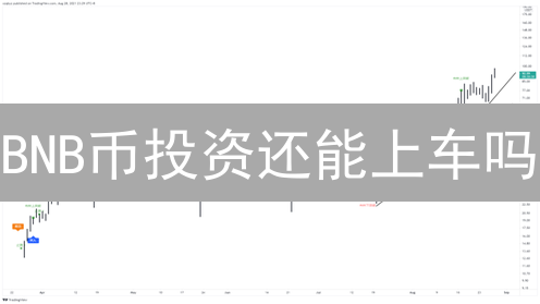 BNB币投资还能上车吗？解析币安币的潜在价值与风险！