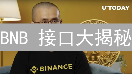 BNB 接口大揭秘：开发者进阶必看！(争议性解析)