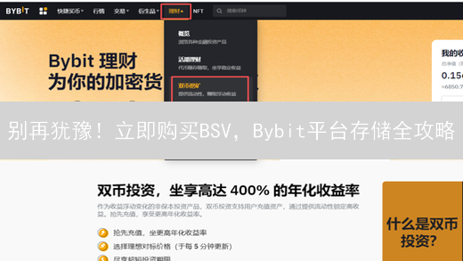 别再犹豫！立即购买BSV，Bybit平台存储全攻略