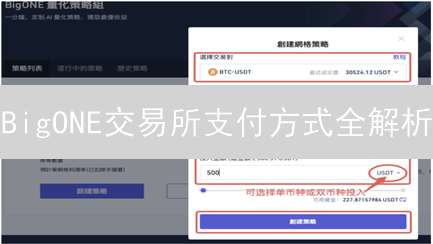 BigONE交易所支付方式全解析：新手必看，哪种最划算？专家解读！