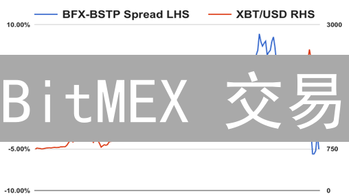 BitMEX 交易：3 大要点揭秘高杠杆对激进投资者的影响 (专家解读)