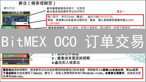 BitMEX OCO 订单交易：风险管理与盈利策略，新手必看！