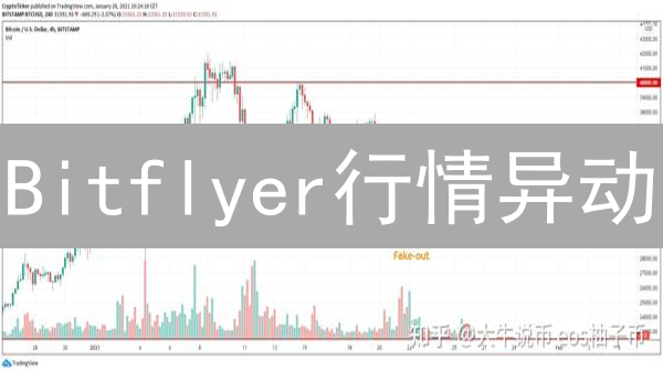Bitflyer行情异动：暴涨or暴跌？深度解析与投资策略！