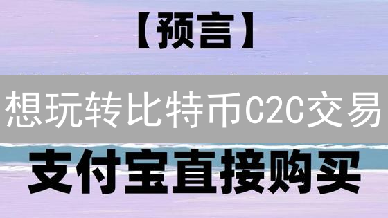 想玩转比特币C2C交易？Bitmex经验告诉你风险与未来！