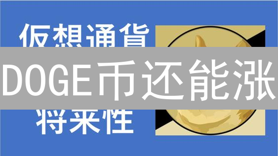 DOGE币还能涨？2024 年长期持有价值深度分析！