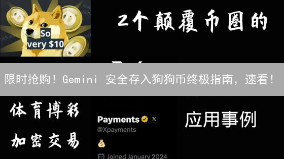 限时抢购！Gemini 安全存入狗狗币终极指南，速看！