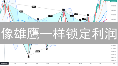 像雄鹰一样锁定利润：MEXC自动止盈指南与最佳实践