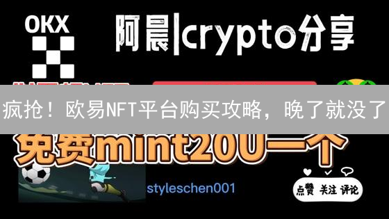 疯抢！欧易NFT平台购买攻略，晚了就没了？