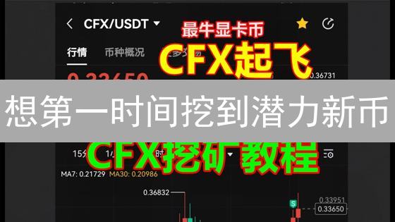 想第一时间挖到潜力新币？Primepool挖矿攻略都在这！