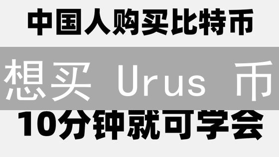 想买 Urus 币？新手避坑：三大购买渠道深度对比！